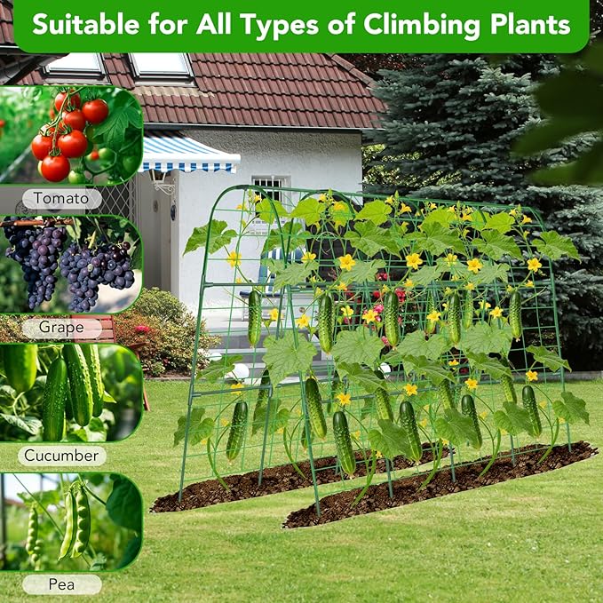 Cucumber Trellis for Raised Bed, U-Shape Garden Trellis for Climbing Plants - Image 4
