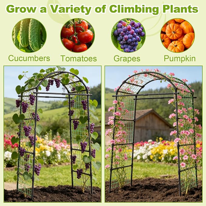 Miory Garden Arch Trellis for Climbing Plants Outdoor, Metal Plants Support - Image 7