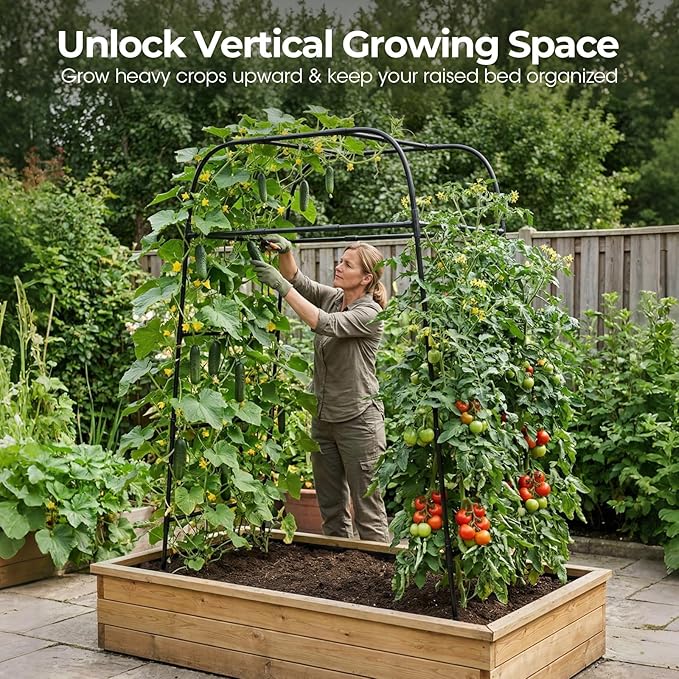 Garden Arch Trellis for Climbing Plants, Rustproof Steel Tunnel Support for - Image 2