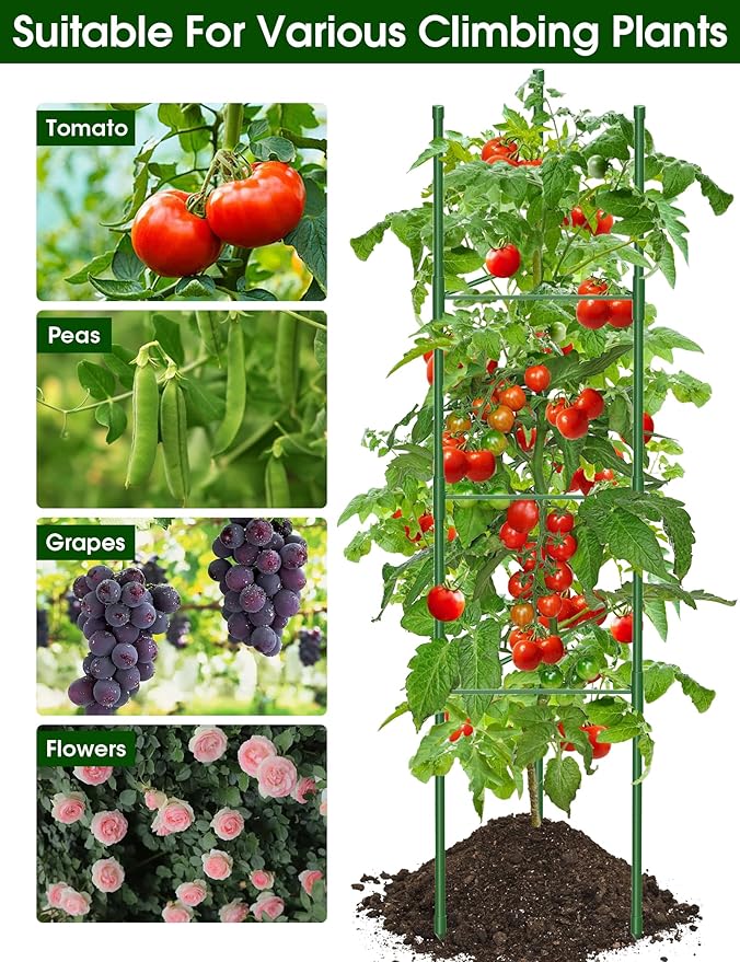 Tomato Cage for Garden, 6 Pack Tomato Trellis for Raised Garden Bed Height - Image 4