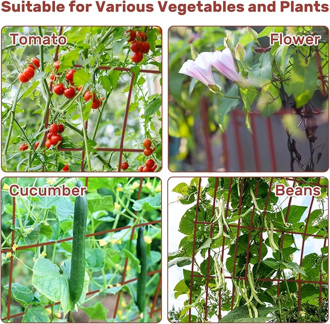 DOEWORKS Cucumber Trellis, 2 Pack, Plant Support - Image 7