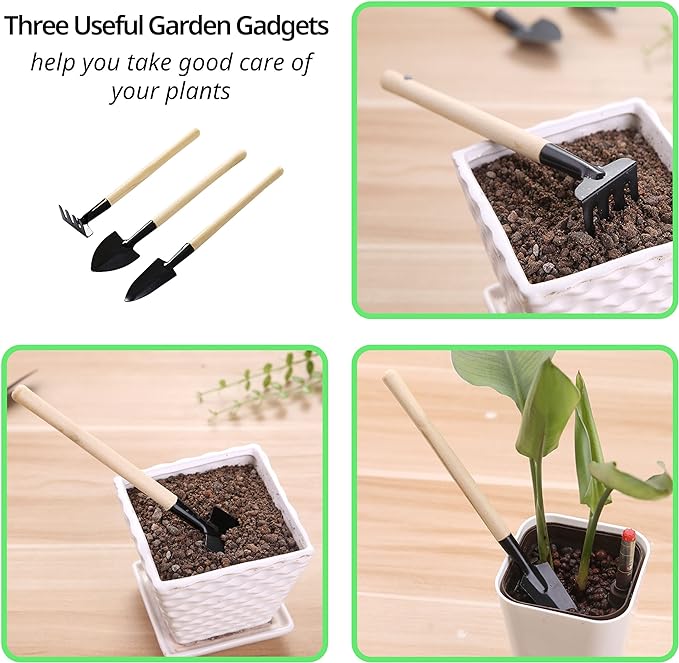 13 Pack Plant Saucer, 8 10 12 Inch Durable Plastic Plant Trays - Image 5