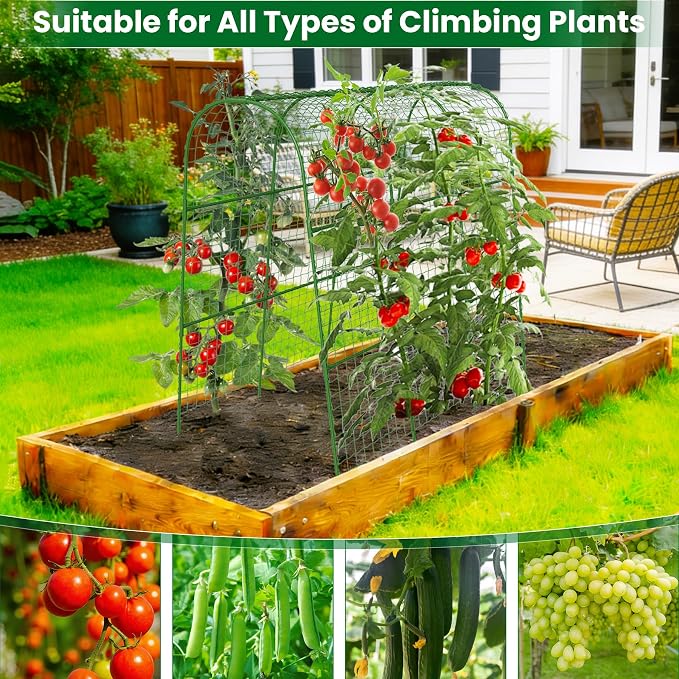 Cucumber Trellis for Raised Bed 32" L x 48" H, U-Shape Garden Trellis for - Image 6