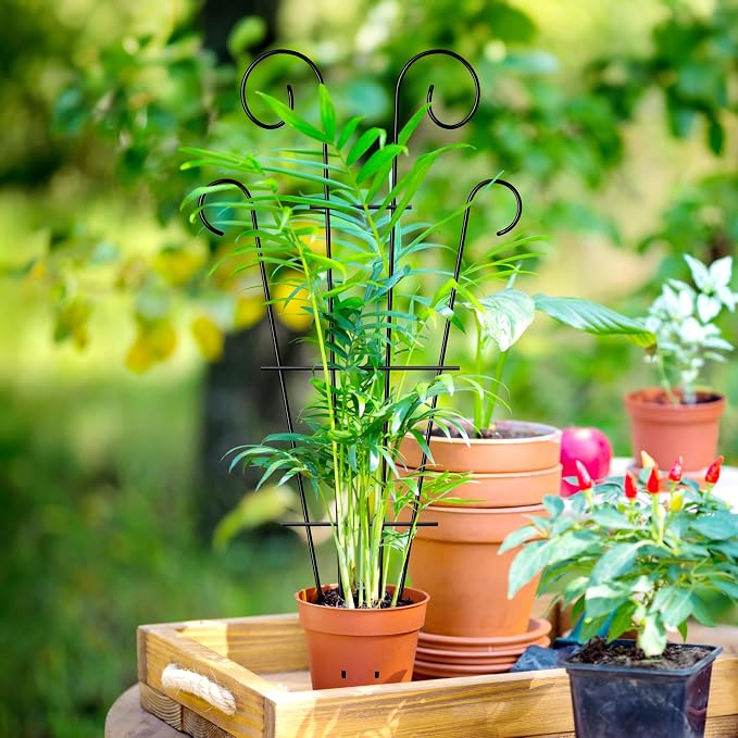 4 Pack 23'' Indoor Plant Trellis - Image 5