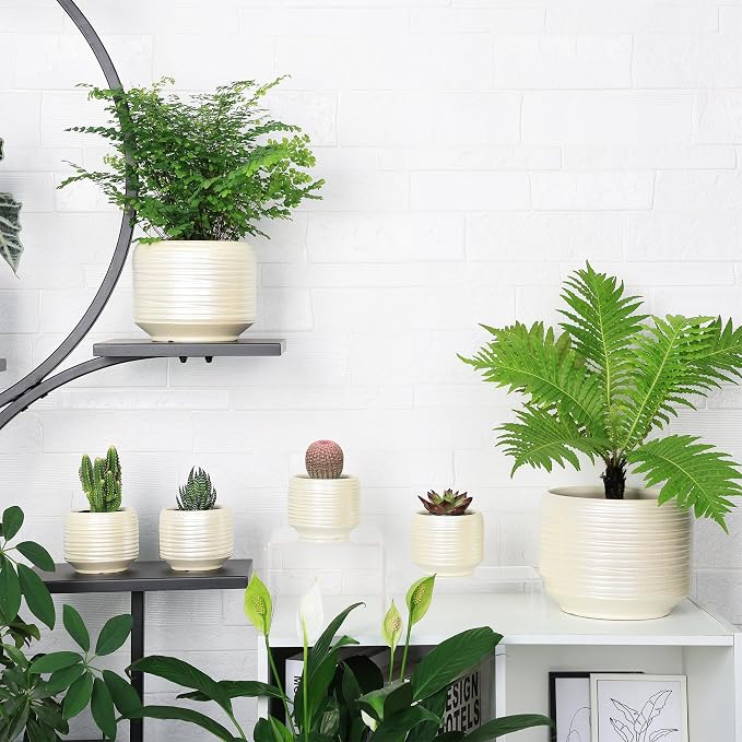 8 Inch + 6 Inch Ceramic Plant Pots Indoor - Image 5