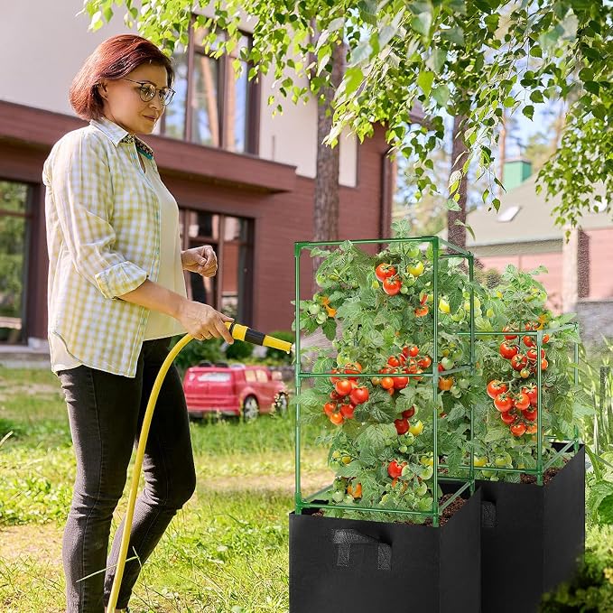 ANPHSIN 3 Sets Tomato Cages - Image 6