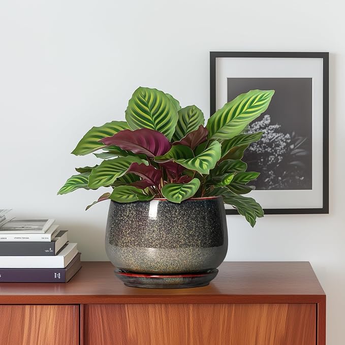 G EPGardening 6 Inch Plant Pot - Image 2