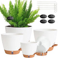 Self Watering Pots for Inoor Ourdoor Plants 8/7/6.5/6/5 Inch Plastic Planters by Fielda