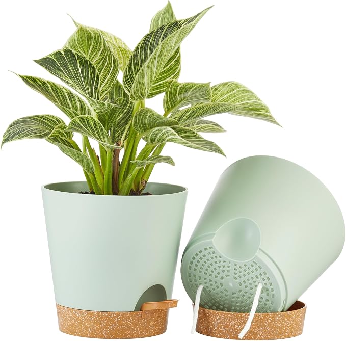 FaithLand 2-Pack 8 Inch Planter Pots by FaithLand
