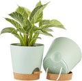 FaithLand 2-Pack 8 Inch Planter Pots by FaithLand