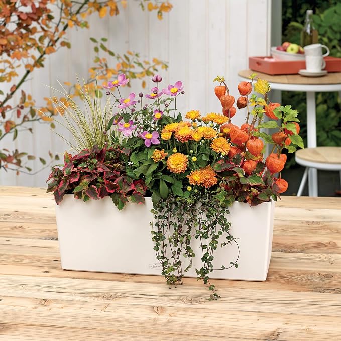 Lechuza BALCONERA Color 50 White, Self-Watering Window Box, H7.5 L19.7 W7.5 in - Image 7