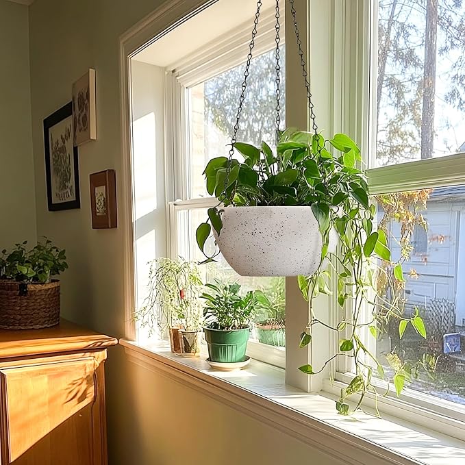 T4U 10 Inch Hanging Planters for Indoor Outdoor Plants - Image 3