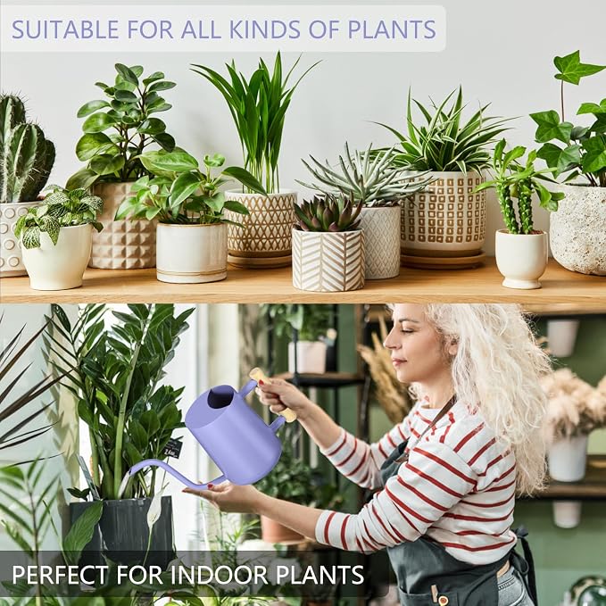 Watering Can Indoor Plants, 35oz Small Stainless Steel Metal Watering Can - Image 4
