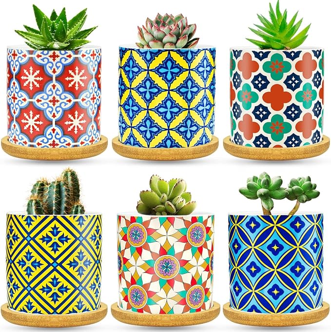 6 Pack Succulent Pots with Drainage Hole, 3 inch Ceramic Succulent Planter with by Ascrafter