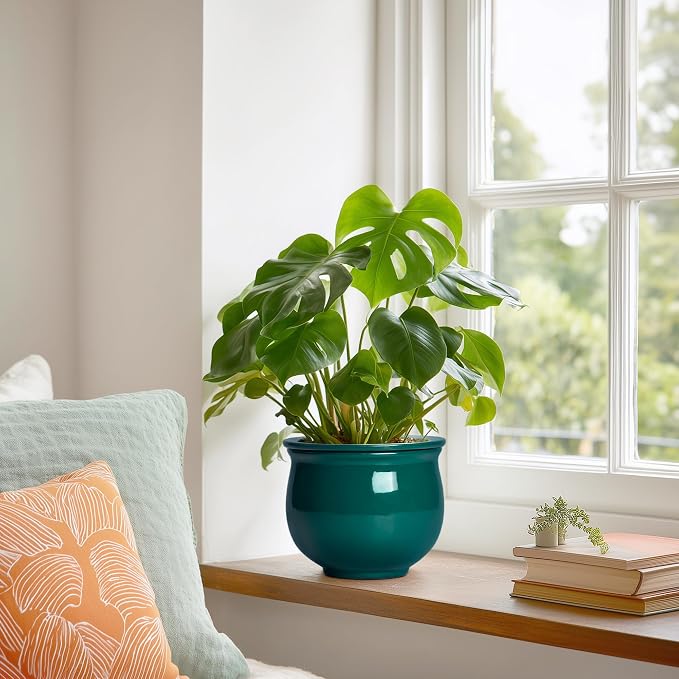 6 Inch Self Watering Plant Pots, Ceramic African Violet Pot - Image 4