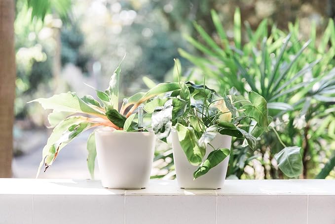 GARDENIX DECOR 5" Self Watering pots - Image 7