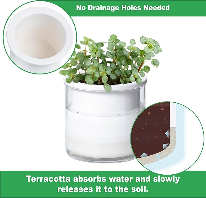 Phoenix Vine 4 Inch Self Watering Planter Pot, Design White Terracotta Pots - Image 3