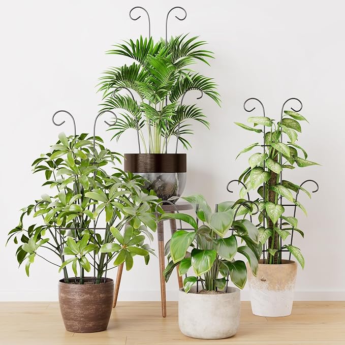Larger 23.6in Plant Trellis for Climbing Plants Indoor Outdoor, 4 Pack - Image 2