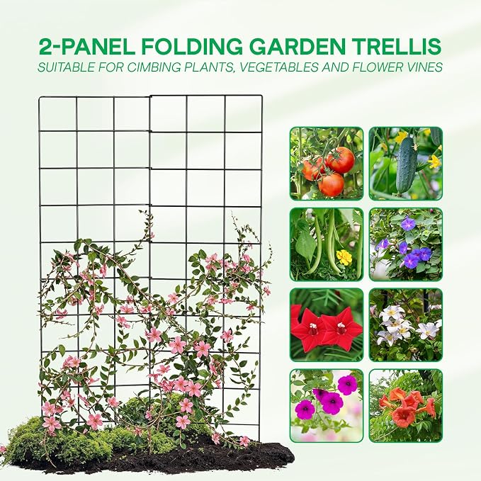 IDZO 2-Panel Folding Trellis, Basic Metal Decoration Trellis - Image 3