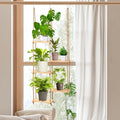 Novabright Window Hanging Plant Shelf by Unknown