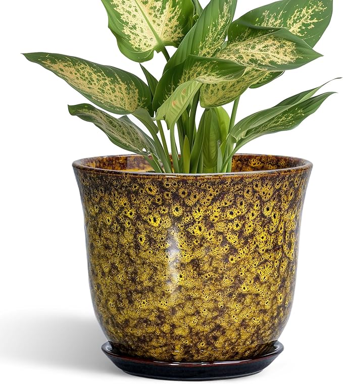 Ceramic Plant Pots by SUNPOTFOR