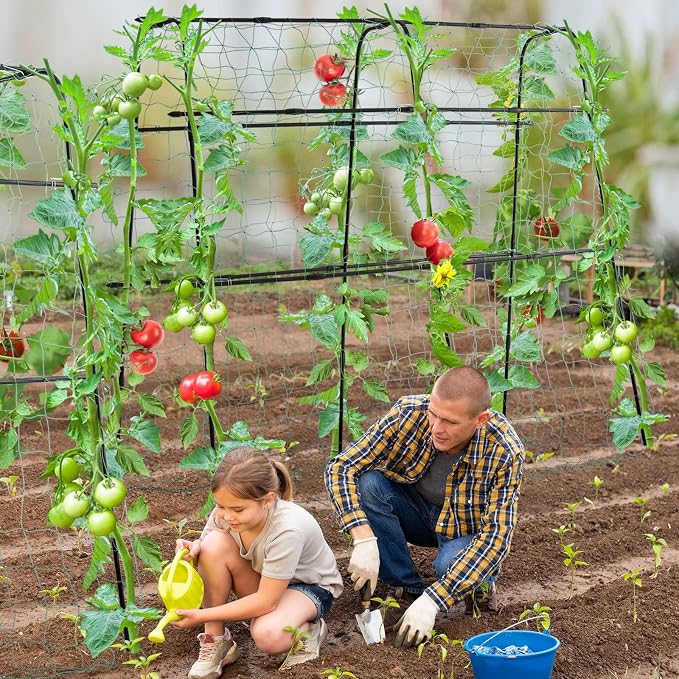 Cucumber Trellis for Raised Bed, 5x5ft Metal Garden Trellis Climbing Plants - Image 6