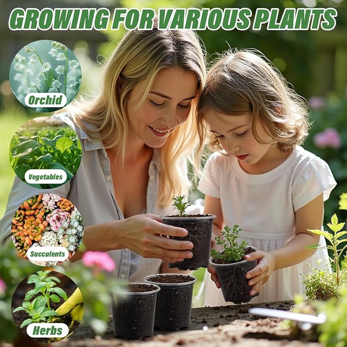 3.5" Clear Seeding Pots 100-Pack Round - Image 6