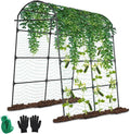 Garden Trellis Arch for Climbing Plants Outdoor by Agiblelite