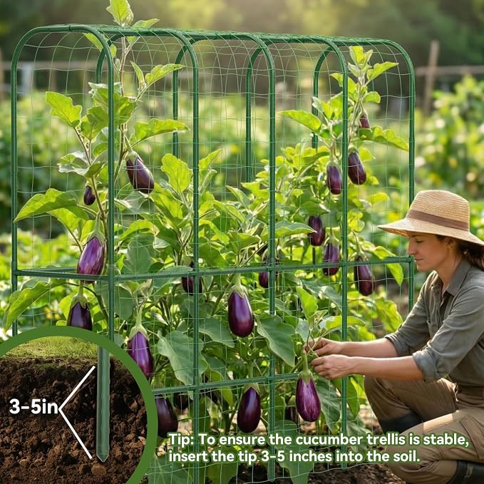 65" Tall Cucumber Trellis for Raised Bed, Garden Trellis for Climbing Plants - Image 7