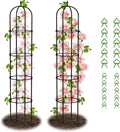 Garden Obelisk Trellis for Climbing Plants by Nexum