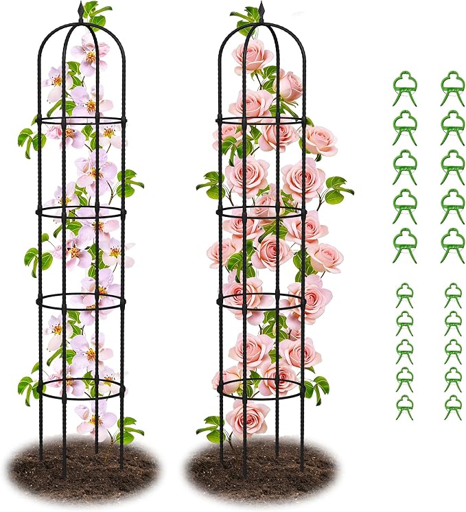Garden Obelisk Trellis for Climbing Plants by Nexum