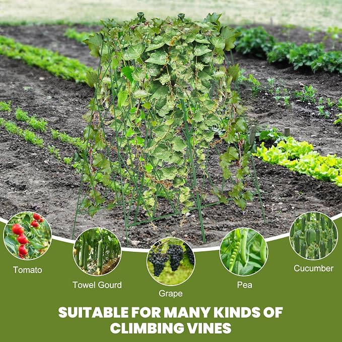 Cucumber Trellis 2 Pack, Foldable A-Frame Garden Trellis - Image 3