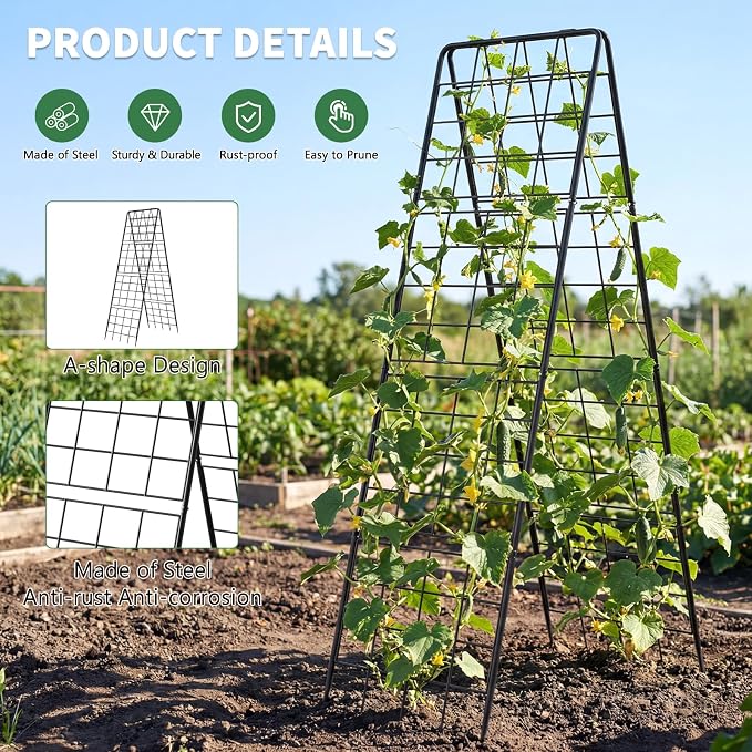 2 Pack Cucumber Trellis, Climbing Plants and Flowers - Image 7