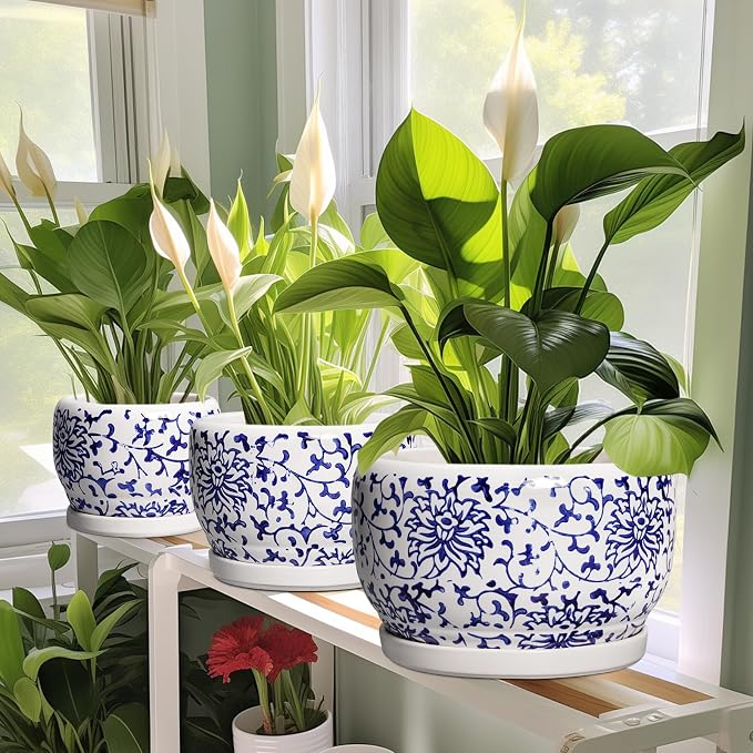SQOWL 6 Inch Planter - Image 5