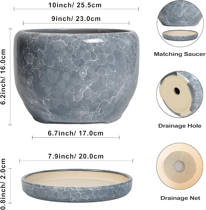 SQOWL Ceramic Pot for Plants - Image 3
