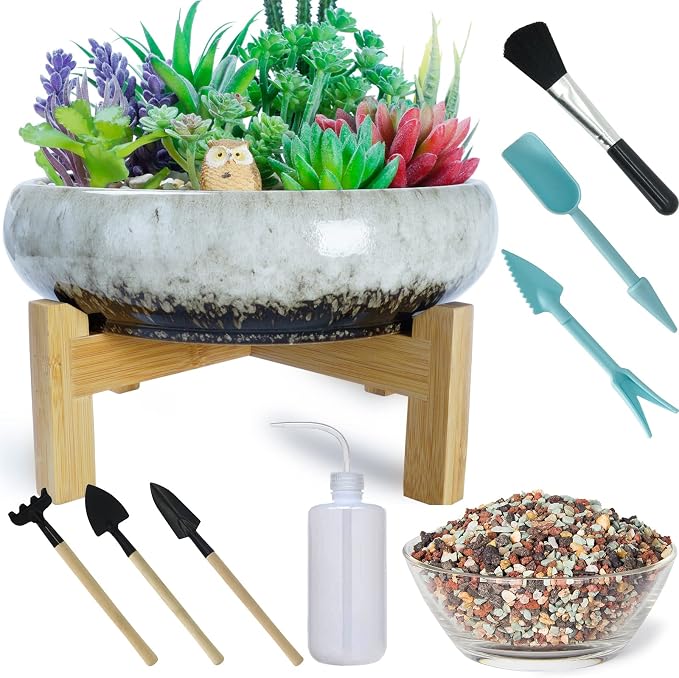 ARTKETTY Succulent Pots with Drainage by ARTKETTY