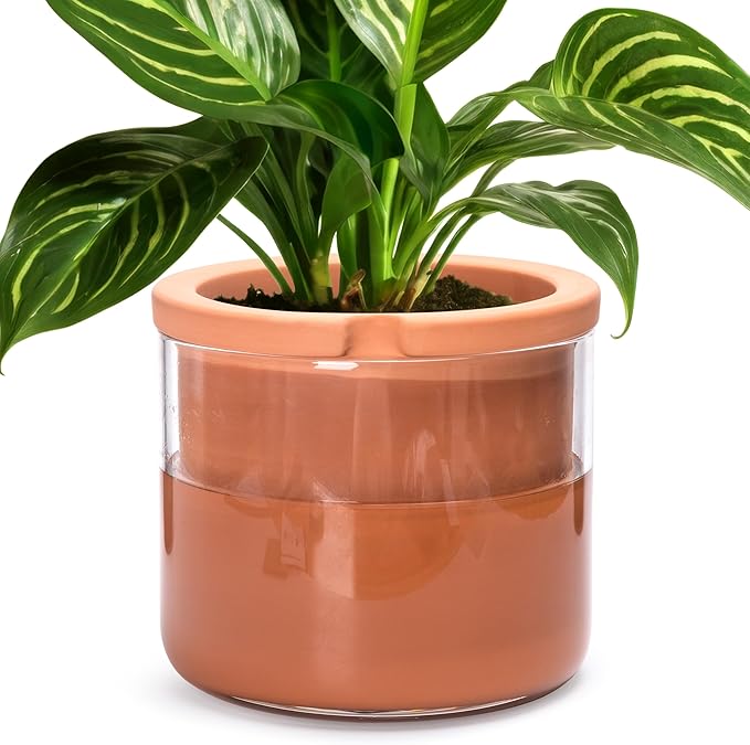 Phoenix Vine 8 Inch Self Watering Planter Pots, Design White Terracotta Pots by Phoenix+Vine