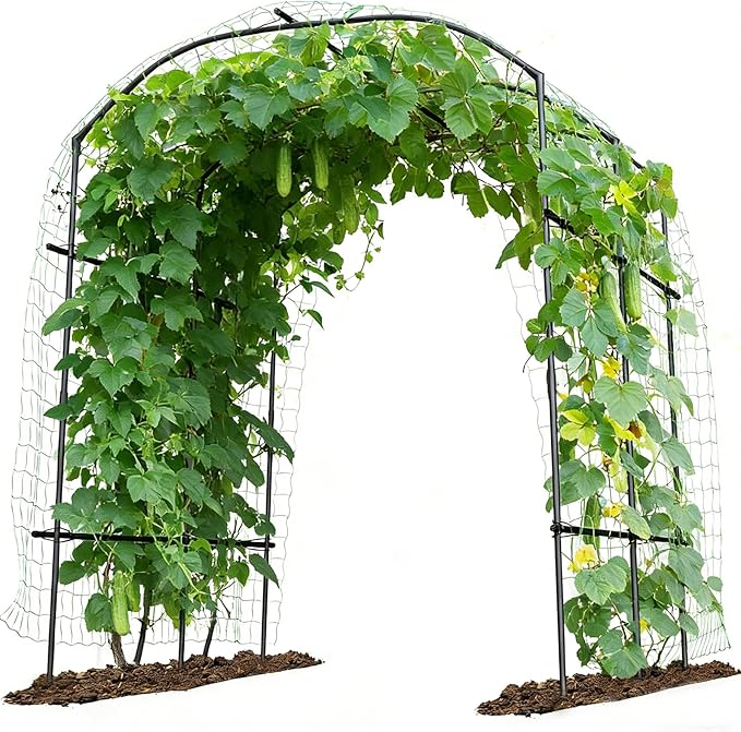 Tall Garden Arch Trellis for Climbing Plants, 87in Tall Metal Plant Support by UrGROWA