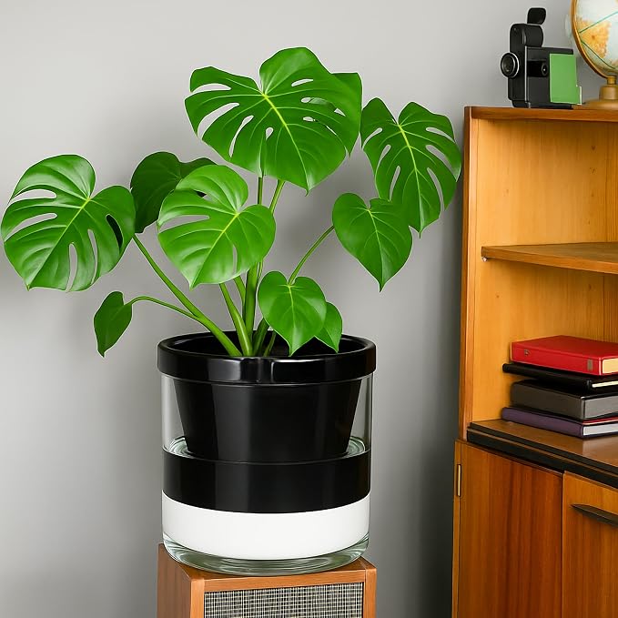 D'vine Dev 10 Inch Design Self Watering Planter - Image 5
