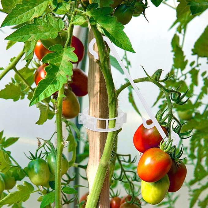 250 Pcs Tomato Clips, Plant Support Clips and J Tomato Hooks, Plastic Trellis - Image 4