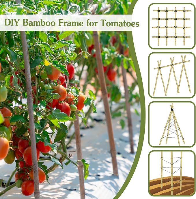 Plant Stakes 4.8FT, Natural Bamboo Stakes, HAINANSTRY 20Pcs Sturdy Bamboo - Image 2
