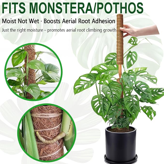 Soupiar 4 Pack 22 Inch Stackable Moss Pole - Image 6