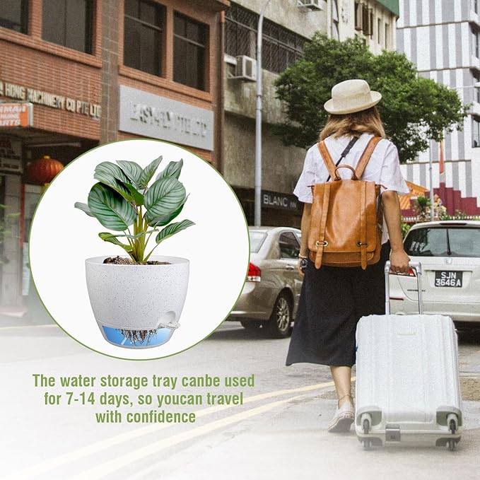 10 inch Self Watering Pots, Plant Pots - Image 6