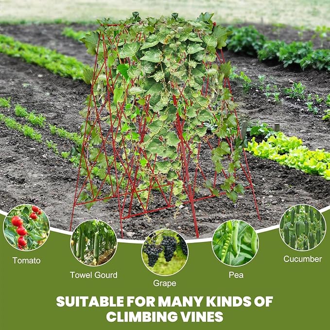 Cucumber Trellis 2 Pack, Foldable A-Frame Garden Trellis - Image 5