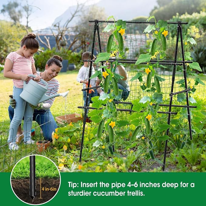 Cucumber Trellis, Metal Garden Trellis - Image 7