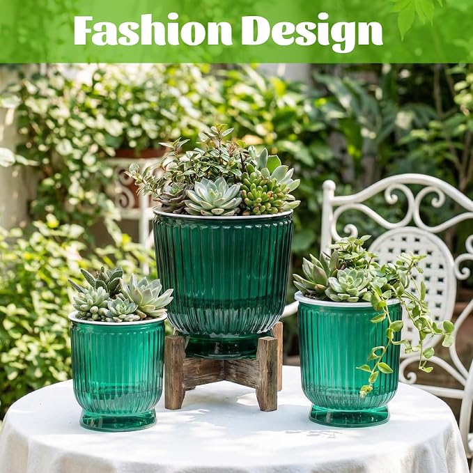 Set of 6 Self Watering Plant Pot 3 Sizes Plastic Double Layer Self Watering - Image 4