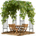 Garden Arch Trellis for Climbing Plants by DoCred