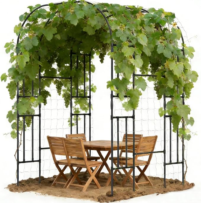Garden Arch Trellis for Climbing Plants by DoCred