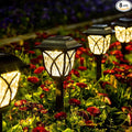 GIGALUMI 8 Pack Solar Lights Outdoor Waterproof, LED Solar Garden Lights by GIGALUMI