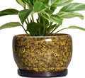SQOWL Ceramic Flower Pots by SQOWL